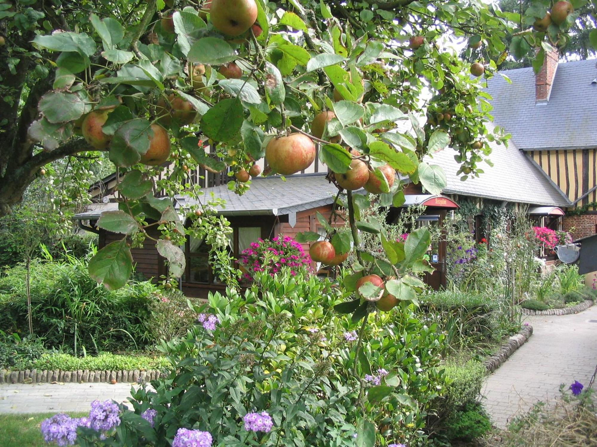 Auberge Du Val Au Cesne Saint-Clair-sur-les-Monts Exterior photo